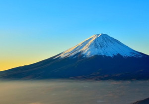 10斤白酒放多少杨梅